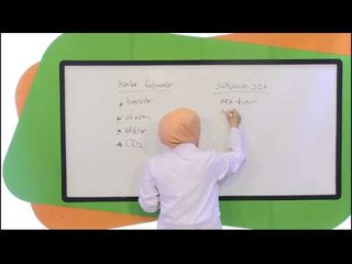 İlköğretim 4. Sınıf Fen ve Teknoloji Deneme Sınavı