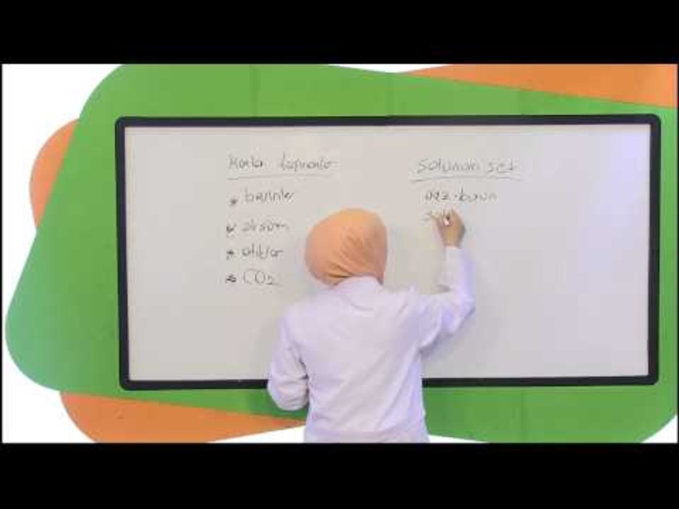 İlköğretim 4. Sınıf Fen ve Teknoloji Deneme Sınavı