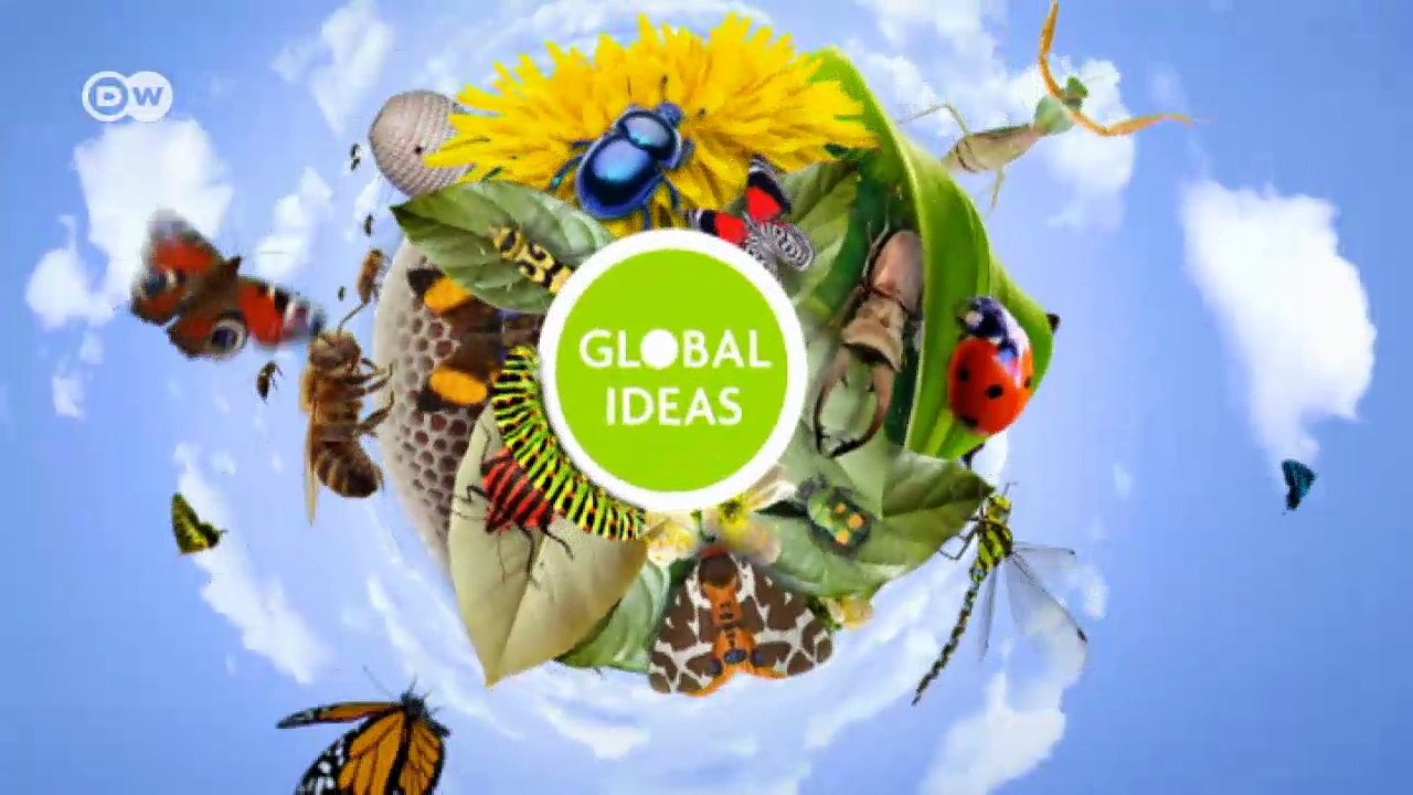 Das Ende der großen Erdnussernten | Global 3000