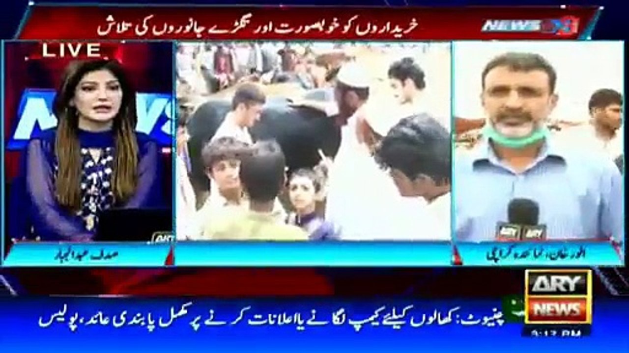 ARY News Headlines 13 September 2016, Preparations for Eid ul Azha in full swing across country