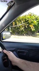 Un passager clandestin sur le toit de leur voiture ne veut pas les lacher!