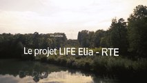 Le projet LIFE Elia-RTE