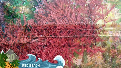 20 Strangest Locations on Earth