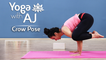 Crow Pose – Step By Step | Kakasana | How To Do The Crow Pose - Yoga With AJ