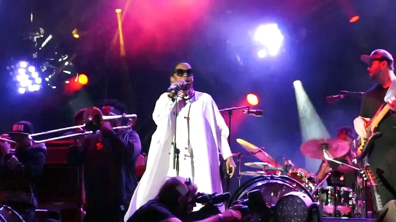 Lauryn Hill Everything is Everything Fete de l'Humanite