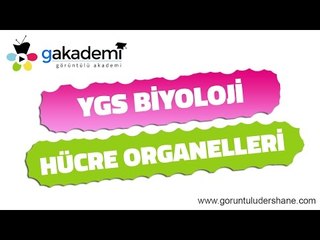 YGS Biyoloji Hücre Organelleri