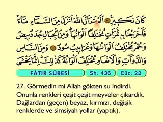 42. Fatr - Türkçe Okunuşlu - Mealli Kur'an-ı Kerim Hatim Seti