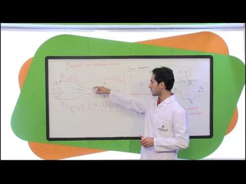 10. Sınıf Fizik Görüntülü Eğitim Seti (Basınç Ve Kaldırma Kuvveti)