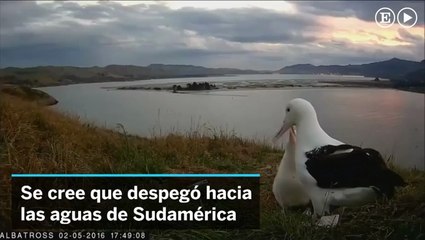 Los primeros meses de vida de Moana