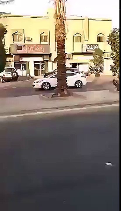 Sheep chooses how to die