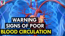 Warning Signs of Poor Blood Circulation - Health Sutra