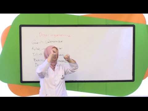 Görüntülü Akademi İlköğretim 3. Sınıf Fen Bilimleri Soru Çözümleri