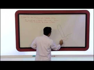 İmam Hatip 10. Sınıf Siyer Eğitim Seti