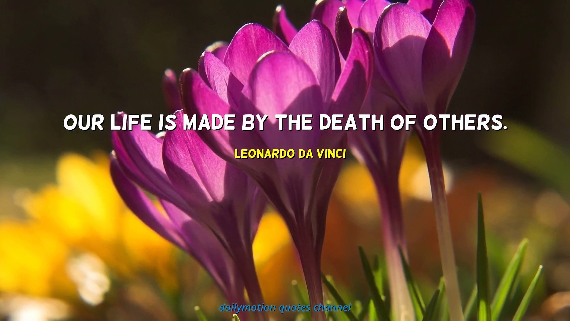⁣Leonardo da Vinci Quotes #3