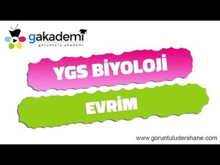 YGS Biyoloji Evrim