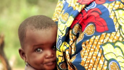 Ecosia, el buscador que dona dinero para financiar la reforestación de los bosques