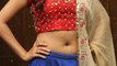 malayalam Actress Anu Emmanuel hot navel in sexy look
