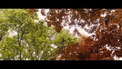 "La Vie d'Adèle - Chapitres 1 et 2" d'Abdellatif Kechiche