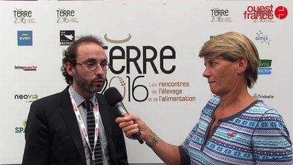 Terre 2016-  David Bravo, Pancosma