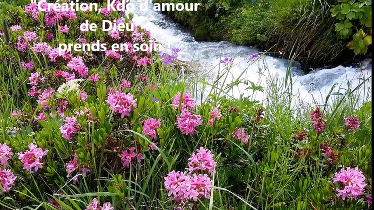 Vidéo de présentation du rassemblement diocésai...