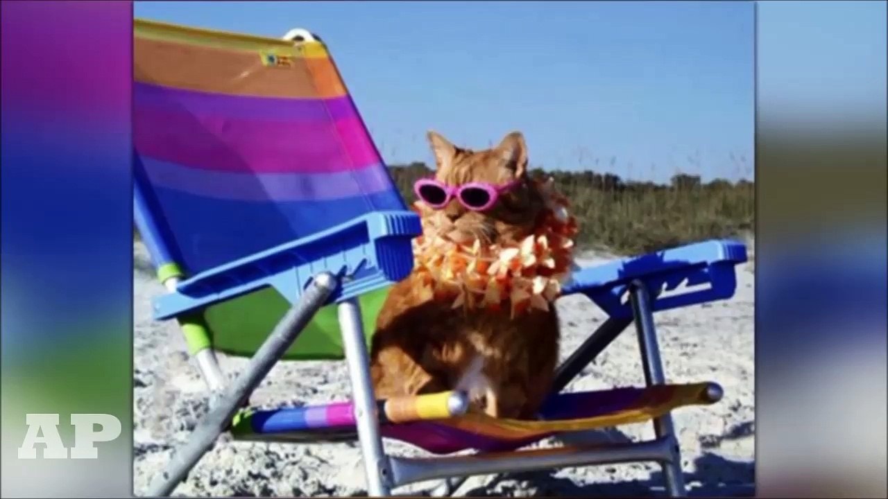 25 Beach Photos Taken At The Right Moment