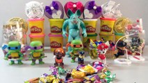 CandySurprises-Toys,Paw Patrol,Teenage Mutant Ninja Turtles,Predator Nightmare Freddy Aliens,Playzdoh350