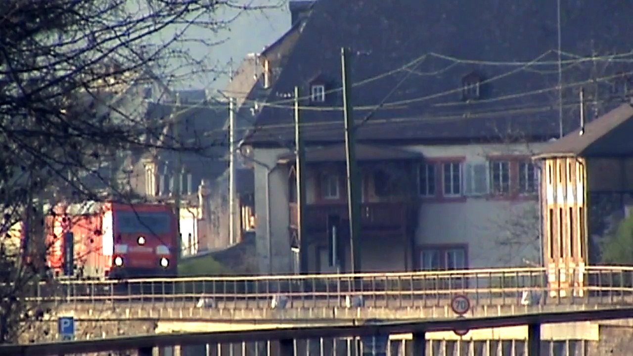 Züge bei Braubach am Rhein, SBB Cargo Re482, MRCE 189, 3x 185, 2x 428, 427