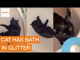 Cat Takes Glitter Bath and Spreads Glitter Across Home
