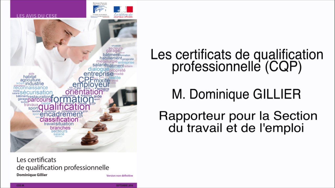 Les certificats de qualification professionnelle (CQP) - cese