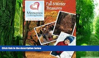 Big Deals  Fall   Winter Treasures (Memories Coloring Books, Volume 2)  Free Full Read Most Wanted