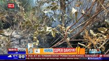 Muncul Lagi Titik Api di Riau