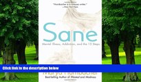 Big Deals  Sane: Mental Illness, Addiction, and the 12 Steps  Free Full Read Best Seller