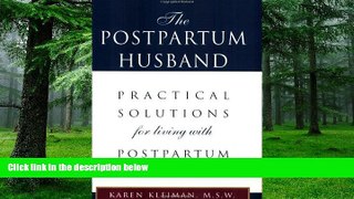Big Deals  The Postpartum Husband: Practical Solutions for living with Postpartum Depression  Best