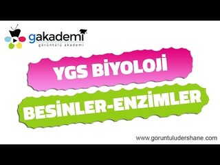 YGS Biyoloji Besinler ve Enzimler