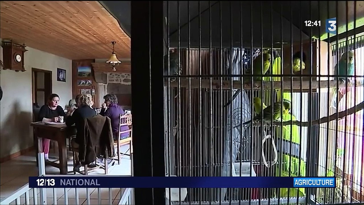 Crise agricole : le quotidien de l'association Solidarité Paysans