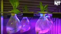 This Floating Farm Grows Vegetables Inside Empty Cargo Ships