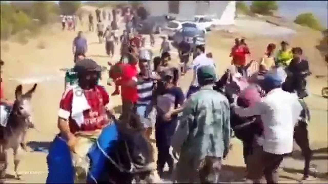 لموت ديال الضحك بطولة العالم لسباق الحمير ههههههههه