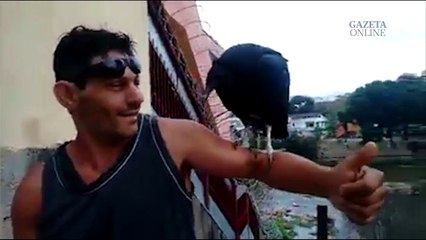 Autônomo cria urubu como animal de estimação em Cachoeiro