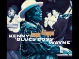 A FLG Maurepas upload - Kenny 'Blues Boss' Wayne - Blues Stew