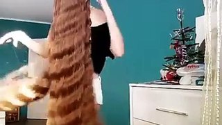 Longest Hair in The World - Real Life Rapunzel