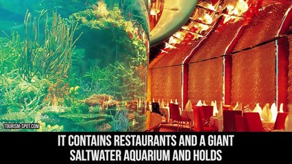 10 Most Amazing Things ONLY Seen in Dubai
