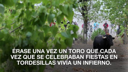 Ya no hay lanzas en Tordesillas