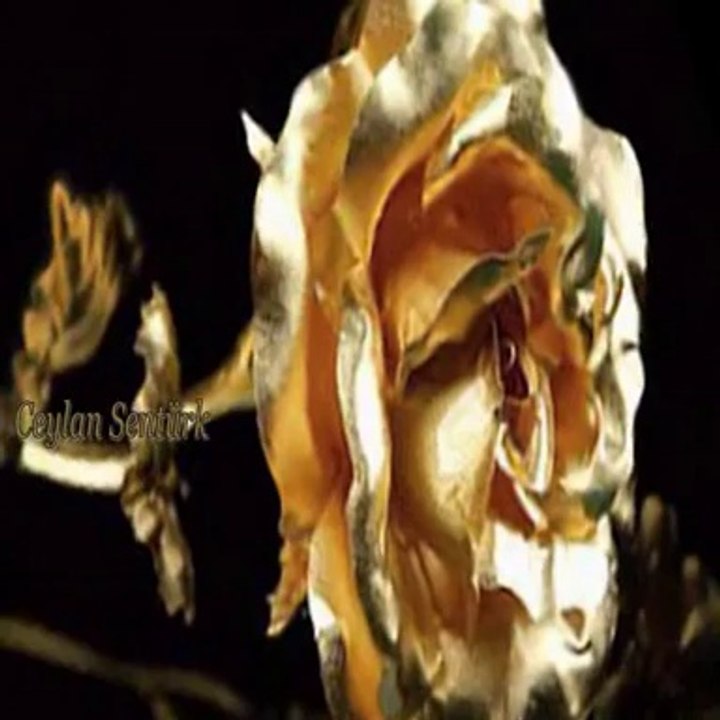 sevginin tarifi budur işte. benim yuregimdeki sevgide budur.canım aileme kızıma ve eşime  aşk  budur işte