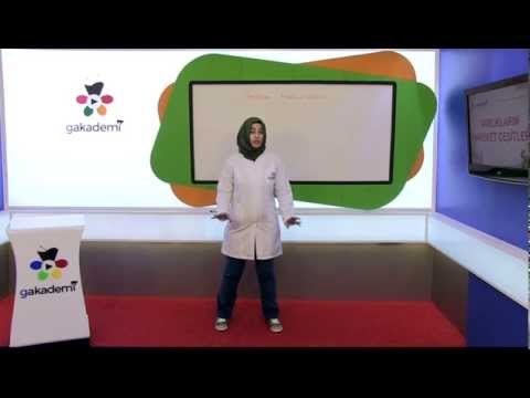 İlköğretim 4. Sınıf Fen ve Teknoloji Eğitim Seti Varlıkların Hareket Çeşitleri