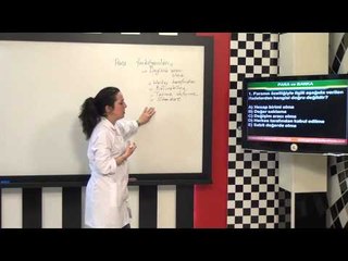 AÖF Para ve Banka Eğitim Seti