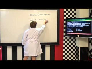 AÖF Maliyet Muhasebesi Eğitim Seti