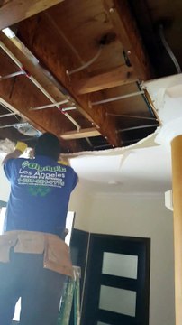 Olympic Mold Removal and Water Damage in Los Angeles Area (3)