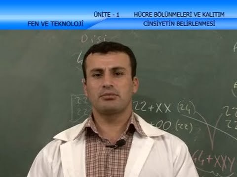 06. Hücre Bölünmeleri ve Katılım-Cinsiyetin Belirlenmesi - İlköğretim 8. Sınıf Fen ve Teknoloji