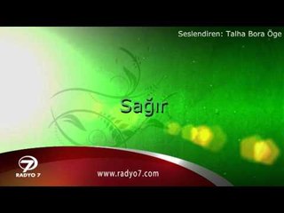 TALHA BORA ÖGE ANLATIYOR - Sağır