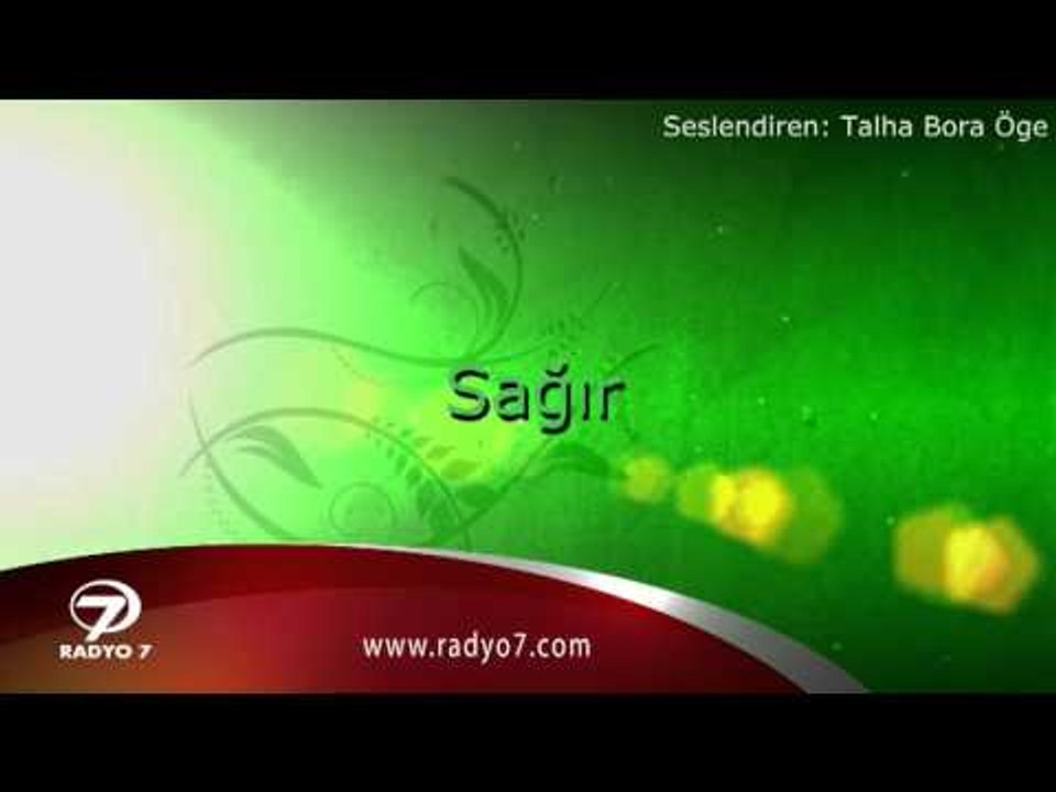 TALHA BORA ÖGE ANLATIYOR - Sağır